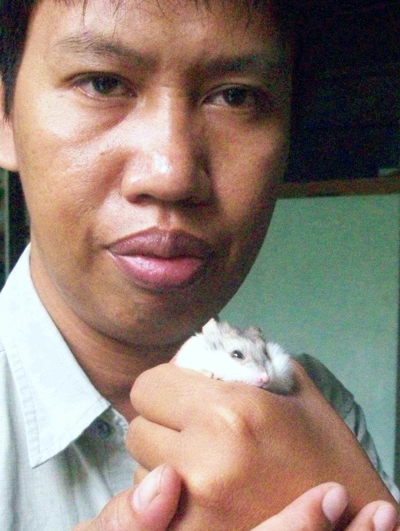 Hamster Mini Yang Lucu Berbagi Tak Pernah Rugi