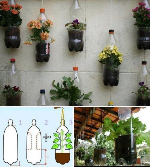 vertikal garden dari botol bekas