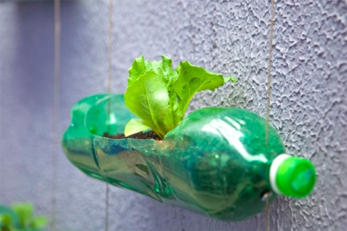 Memanfaatkan Sampah Botol Plastik Bekas Untuk Pot Tanaman Berbagi Tak Pernah Rugi